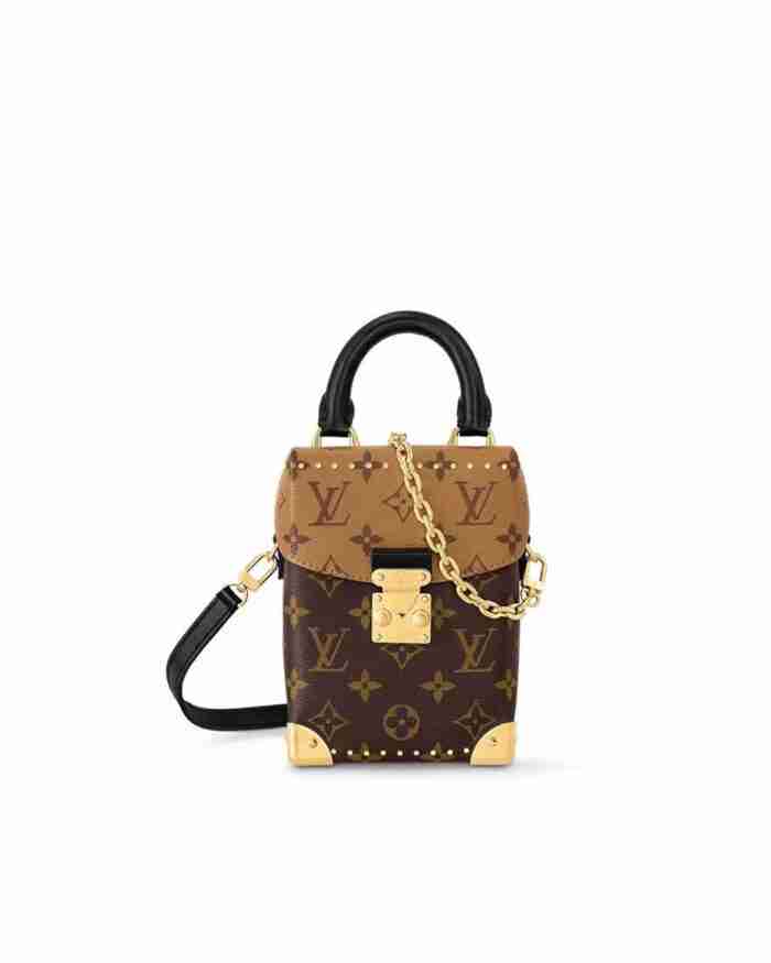 Louis Vuitton CAMERA BOX handbag
