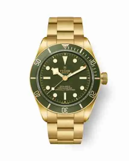 TUDOR BLACK BAY 58