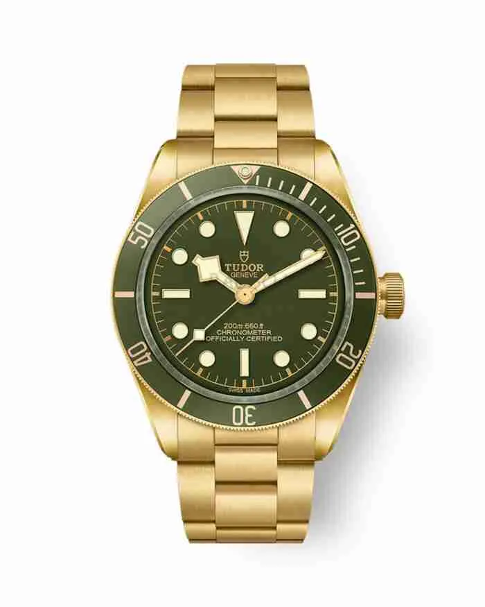 TUDOR BLACK BAY 58