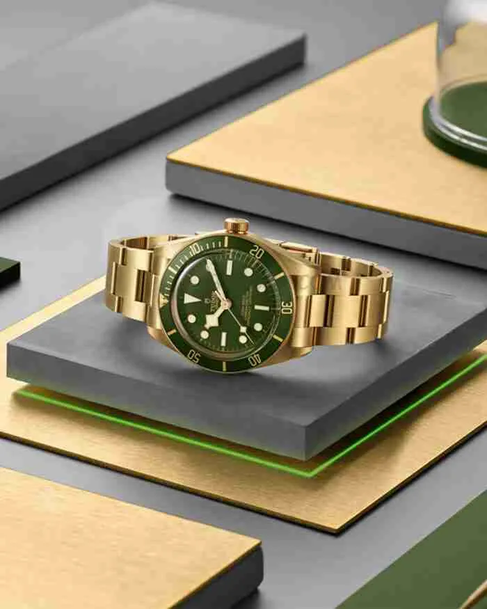 TUDOR BLACK BAY 58