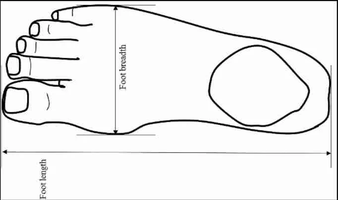 size